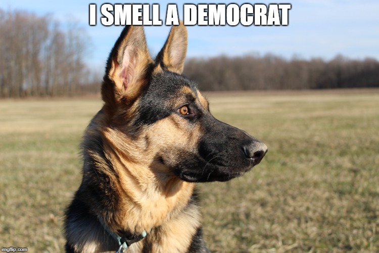 Democrat smells | I SMELL A DEMOCRAT | image tagged in basket of deplorables | made w/ Imgflip meme maker