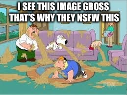 Family Guy Barfing | I SEE THIS IMAGE GROSS THAT’S WHY THEY NSFW THIS | image tagged in family guy barfing | made w/ Imgflip meme maker