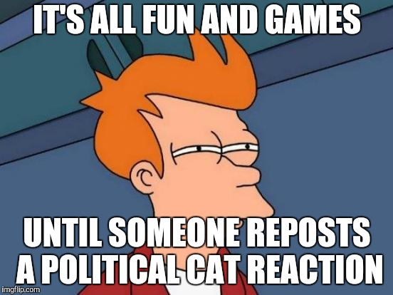 Don't Cross the Streams | IT'S ALL FUN AND GAMES; UNTIL SOMEONE REPOSTS A POLITICAL CAT REACTION | image tagged in memes,futurama fry,streams | made w/ Imgflip meme maker