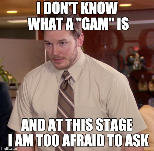 Online Streaming | I DON'T KNOW WHAT A "GAM" IS; AND AT THIS STAGE I AM TOO AFRAID TO ASK | image tagged in memes,afraid to ask andy,gam-ing | made w/ Imgflip meme maker