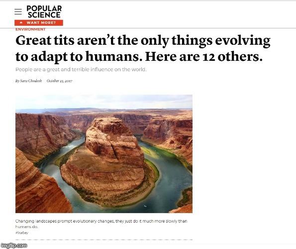 Clickbait much Popular Science? | image tagged in clickbait much,tits are birds,wuv da science,listicles,evowution | made w/ Imgflip meme maker