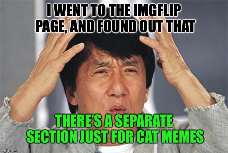 I think I missed the train with this realization  | I WENT TO THE IMGFLIP PAGE, AND FOUND OUT THAT; THERE’S A SEPARATE SECTION JUST FOR CAT MEMES | image tagged in jackie chan confused,what the heck,but why tho,sudden realization | made w/ Imgflip meme maker