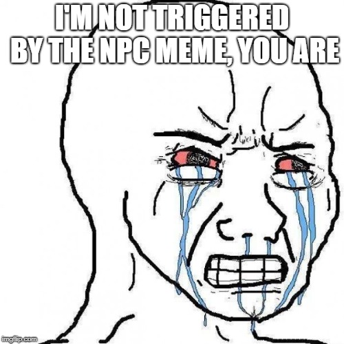 Angry Tears | I'M NOT TRIGGERED BY THE NPC MEME, YOU ARE | image tagged in angry tears | made w/ Imgflip meme maker
