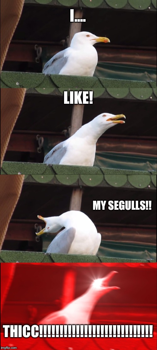 Inhaling Seagull | I.... LIKE! MY SEGULLS!! THICC!!!!!!!!!!!!!!!!!!!!!!!!!!!! | image tagged in memes,inhaling seagull | made w/ Imgflip meme maker