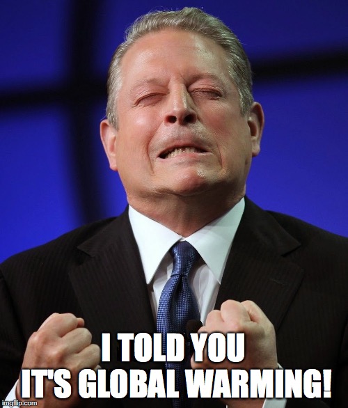 Al gore | I TOLD YOU IT'S GLOBAL WARMING! | image tagged in al gore | made w/ Imgflip meme maker