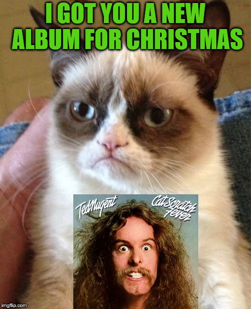 Grumpy Cat Meme | I GOT YOU A NEW ALBUM FOR CHRISTMAS | image tagged in memes,grumpy cat | made w/ Imgflip meme maker