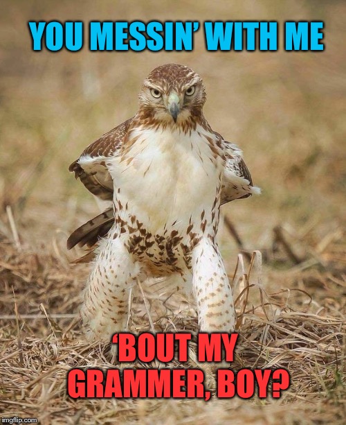 YOU MESSIN’ WITH ME ‘BOUT MY GRAMMER, BOY? | made w/ Imgflip meme maker