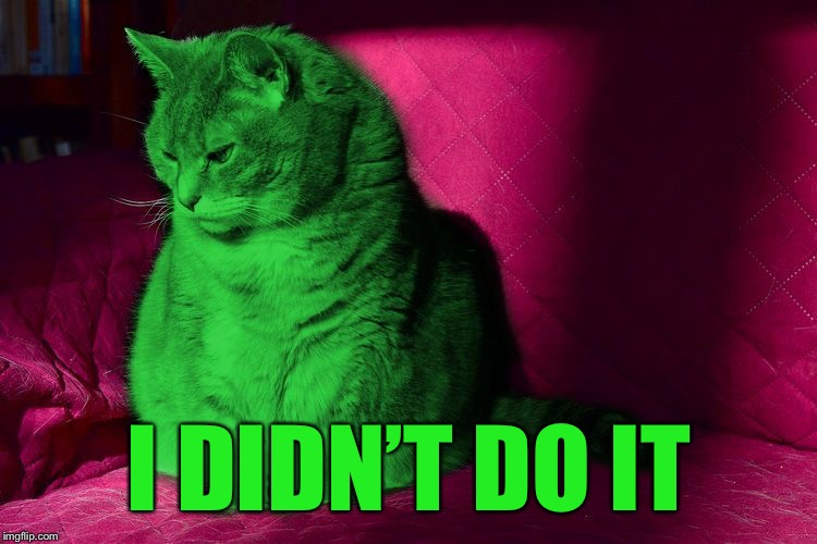 Cantankerous RayCat | I DIDN’T DO IT | image tagged in cantankerous raycat | made w/ Imgflip meme maker