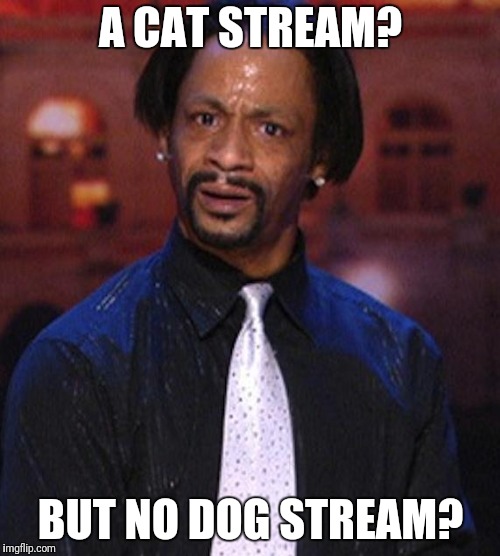 Katt Williams 1 | A CAT STREAM? BUT NO DOG STREAM? | image tagged in katt williams 1 | made w/ Imgflip meme maker