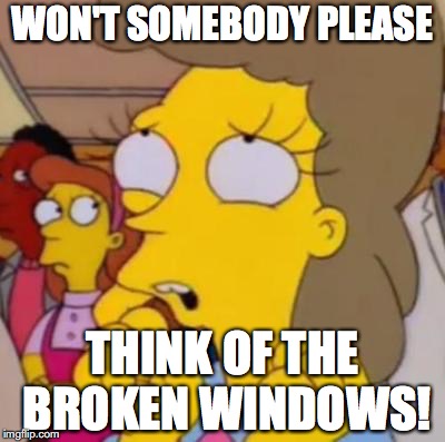 Won't Somebody | WON'T SOMEBODY PLEASE THINK OF THE BROKEN WINDOWS! | image tagged in won't somebody | made w/ Imgflip meme maker