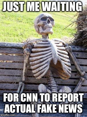 Waiting Skeleton Meme | JUST ME WAITING; FOR CNN TO REPORT ACTUAL FAKE NEWS | image tagged in memes,waiting skeleton | made w/ Imgflip meme maker