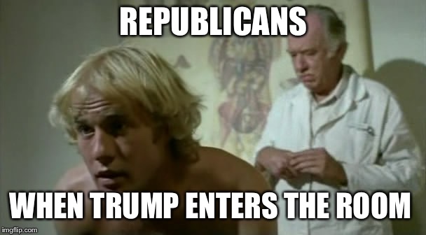Say "Ahhh" | REPUBLICANS; WHEN TRUMP ENTERS THE ROOM | image tagged in say ahhh | made w/ Imgflip meme maker
