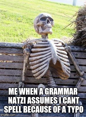 On top of that, nobody cares about grammar on the internet :/ |  ME WHEN A GRAMMAR NATZI ASSUMES I CANT SPELL BECAUSE OF A TYPO | image tagged in memes,waiting skeleton | made w/ Imgflip meme maker