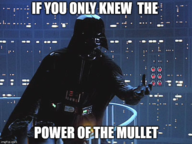Darth Vader - Come to the Dark Side | IF YOU ONLY KNEW  THE; POWER OF THE MULLET | image tagged in darth vader - come to the dark side | made w/ Imgflip meme maker