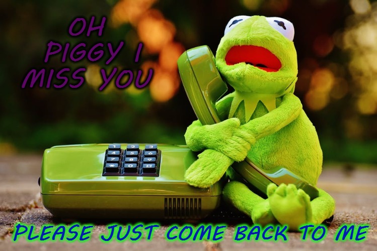 OH PIGGY I MISS YOU; PLEASE JUST COME BACK TO ME | image tagged in kermit the frog,funny,meme,miss piggy | made w/ Imgflip meme maker
