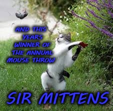 AND THIS YEARS WINNER OF THE ANNUAL MOUSE THROW; SIR MITTENS | image tagged in funny,animal,meme | made w/ Imgflip meme maker