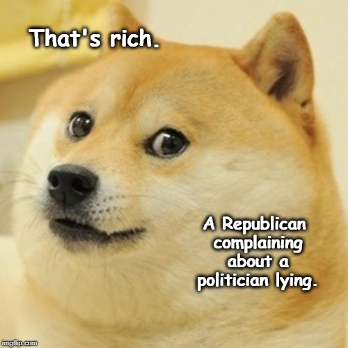 Doge Meme | That's rich. A Republican complaining about a politician lying. | image tagged in memes,doge | made w/ Imgflip meme maker