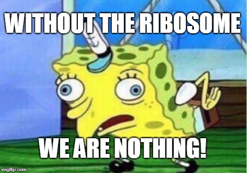 Mocking Spongebob Meme | WITHOUT THE RIBOSOME; WE ARE NOTHING! | image tagged in memes,mocking spongebob | made w/ Imgflip meme maker