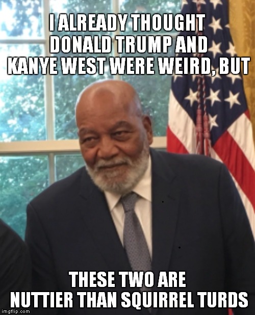 Birds Of A Feather | I ALREADY THOUGHT DONALD TRUMP AND KANYE WEST WERE WEIRD, BUT; THESE TWO ARE NUTTIER THAN SQUIRREL TURDS | image tagged in jim brown remembers,donald trump | made w/ Imgflip meme maker