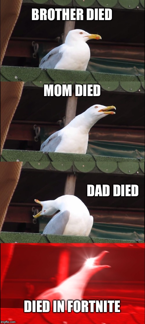 Inhaling Seagull Meme | BROTHER DIED; MOM DIED; DAD DIED; DIED IN FORTNITE | image tagged in memes,inhaling seagull | made w/ Imgflip meme maker