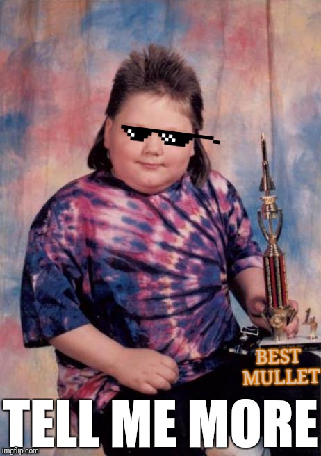 First Place Mullet | BEST MULLET TELL ME MORE | image tagged in first place mullet | made w/ Imgflip meme maker