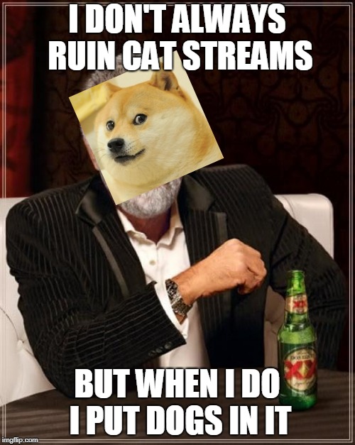 The Most Interesting Man In The World Meme | I DON'T ALWAYS RUIN CAT STREAMS BUT WHEN I DO I PUT DOGS IN IT | image tagged in memes,the most interesting man in the world | made w/ Imgflip meme maker