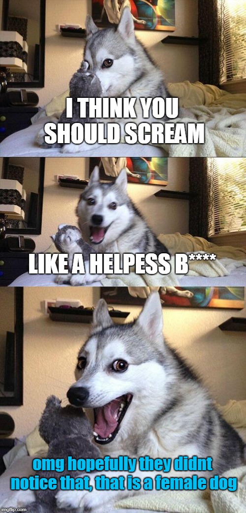 Bad Pun Dog Meme | I THINK YOU SHOULD SCREAM LIKE A HELPESS B**** omg hopefully they didnt notice that, that is a female dog | image tagged in memes,bad pun dog | made w/ Imgflip meme maker