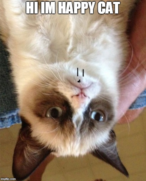 Grumpy Cat Meme | HI IM HAPPY CAT | image tagged in memes,grumpy cat | made w/ Imgflip meme maker