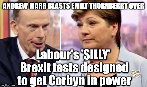 Labours 'silly' Brexit tests | ANDREW MARR BLASTS EMILY THORNBERRY OVER; Labour's 'SILLY' Brexit tests designed to get Corbyn in power | image tagged in andrew marr emily thornberry,brexit,wearecorbyn,labourisdead,weaintcorbyn,lady nugee | made w/ Imgflip meme maker
