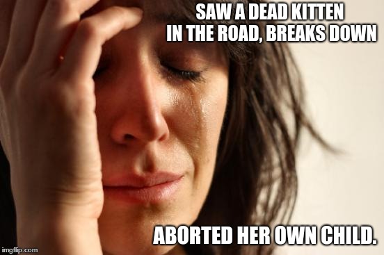 Left leaning loon.  | SAW A DEAD KITTEN IN THE ROAD, BREAKS DOWN; ABORTED HER OWN CHILD. | image tagged in memes,first world problems | made w/ Imgflip meme maker