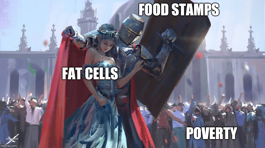Knight Protecting Princess | FOOD STAMPS; FAT CELLS; POVERTY | image tagged in knight protecting princess | made w/ Imgflip meme maker