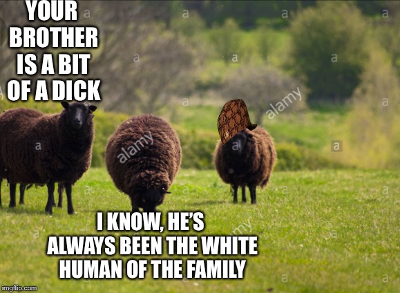 YOUR BROTHER IS A BIT OF A DICK; I KNOW, HE’S ALWAYS BEEN THE WHITE HUMAN OF THE FAMILY | image tagged in sayings,reversal | made w/ Imgflip meme maker