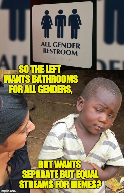 Segregation | SO THE LEFT WANTS BATHROOMS FOR ALL GENDERS, BUT WANTS SEPARATE BUT EQUAL STREAMS FOR MEMES? | image tagged in segregation | made w/ Imgflip meme maker