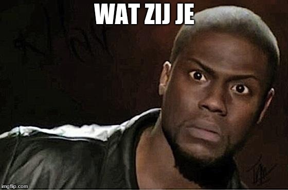 Kevin Hart Meme | WAT ZIJ JE | image tagged in memes,kevin hart | made w/ Imgflip meme maker