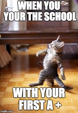 Cool Cat Stroll | WHEN YOU YOUR THE SCHOOL; WITH YOUR FIRST A + | image tagged in memes,cool cat stroll | made w/ Imgflip meme maker