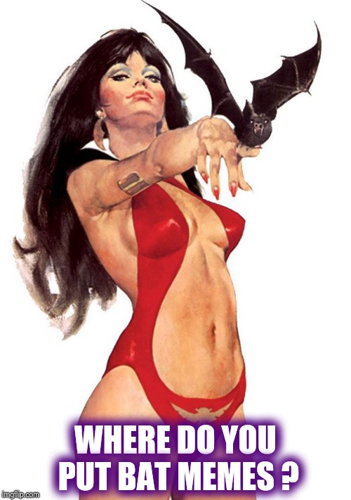 Vampirella | WHERE DO YOU PUT BAT MEMES ? | image tagged in vampirella | made w/ Imgflip meme maker