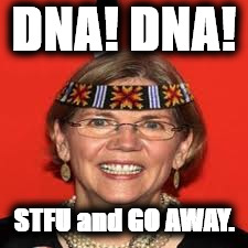 Elizabeth Warren | DNA! DNA! STFU and GO AWAY. | image tagged in elizabeth warren | made w/ Imgflip meme maker