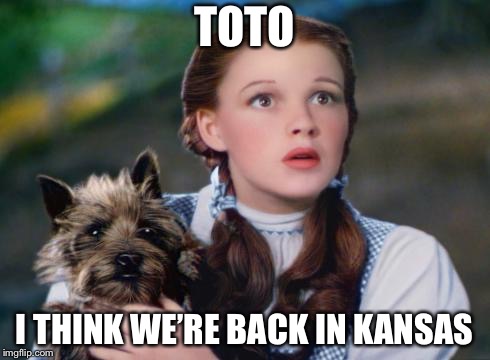 Toto Wizard of Oz | TOTO I THINK WE’RE BACK IN KANSAS | image tagged in toto wizard of oz | made w/ Imgflip meme maker