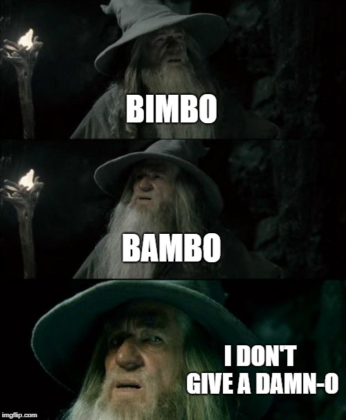 When You Don't Care About Fortnite But You Break Into A Little Song | BIMBO; BAMBO; I DON'T GIVE A DAMN-O | image tagged in confused gandalf | made w/ Imgflip meme maker