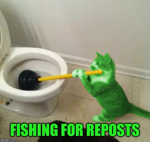 Repost Week - A Pipe_Picasso event! | FISHING FOR REPOSTS | image tagged in raycat's toilet,memes,repost week | made w/ Imgflip meme maker