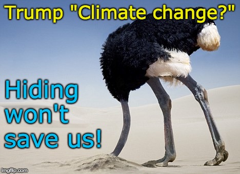 Climate change - Hiding won't save us! | Trump "Climate change?"; Hiding won't save us! | image tagged in climate change,floods,hurricane,tornado,drought,end of life | made w/ Imgflip meme maker