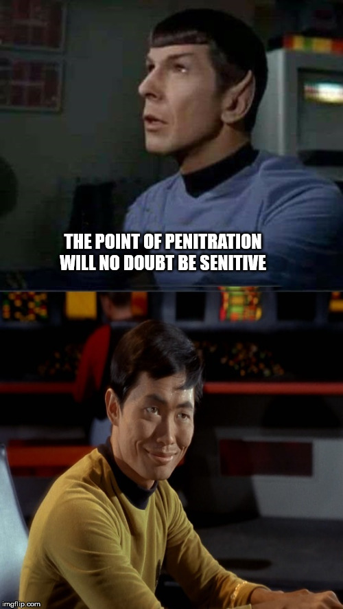sulu's expression  | THE POINT OF PENITRATION WILL NO DOUBT BE SENITIVE | image tagged in funny | made w/ Imgflip meme maker