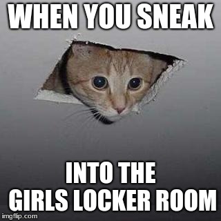 Ceiling Cat | WHEN YOU SNEAK; INTO THE GIRLS LOCKER ROOM | image tagged in memes,ceiling cat | made w/ Imgflip meme maker