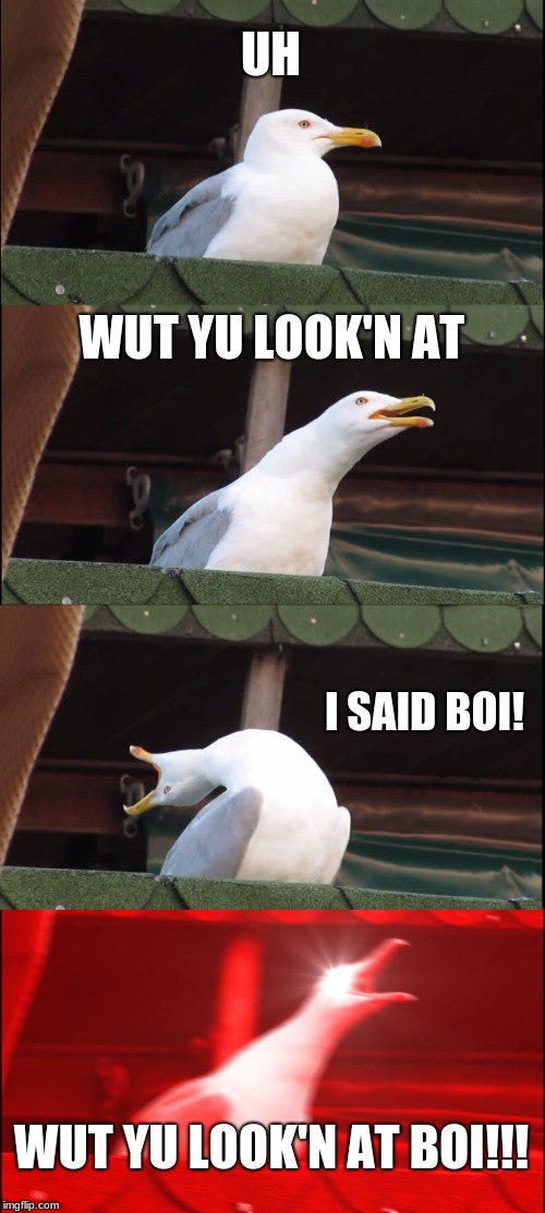 Inhaling Seagull Meme | UH; WUT YU LOOK'N AT; I SAID BOI! WUT YU LOOK'N AT BOI!!! | image tagged in memes,inhaling seagull | made w/ Imgflip meme maker