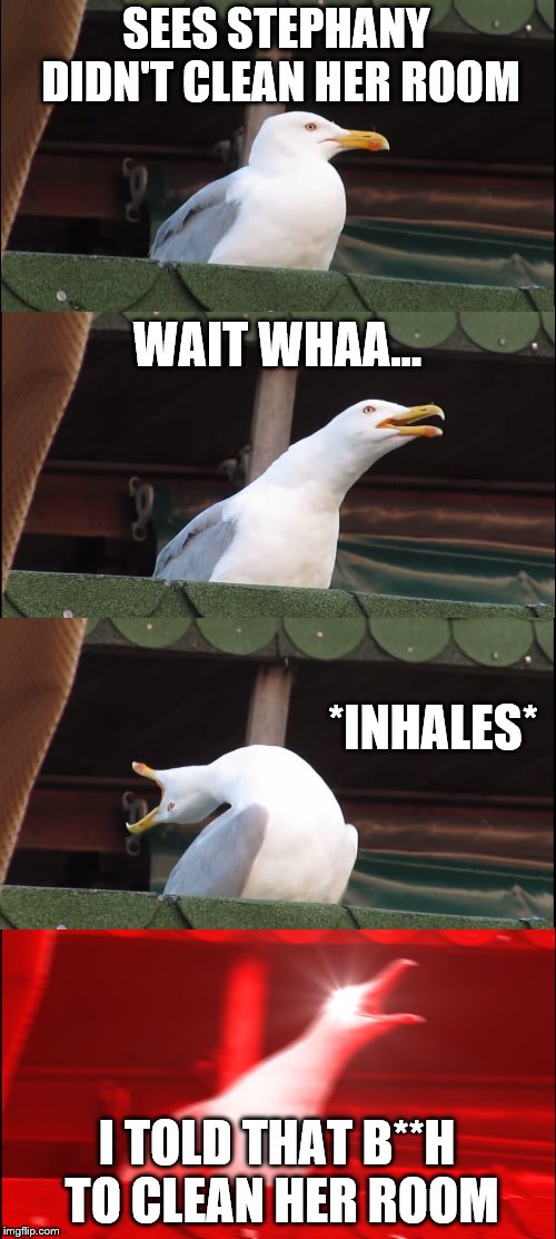 Inhaling Seagull | SEES STEPHANY DIDN'T CLEAN HER ROOM; WAIT WHAA... *INHALES*; I TOLD THAT B**H TO CLEAN HER ROOM | image tagged in memes,inhaling seagull | made w/ Imgflip meme maker