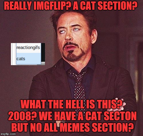 Dear God Why | REALLY IMGFLIP? A CAT SECTION? WHAT THE HELL IS THIS? 2008? WE HAVE A CAT SECTON BUT NO ALL MEMES SECTION? | image tagged in robert downey jr annoyed,categories,cats,all memes,freethememes,normie | made w/ Imgflip meme maker