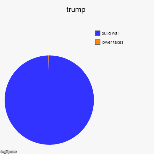 trump | lower taxes, build wall | image tagged in funny,pie charts | made w/ Imgflip chart maker