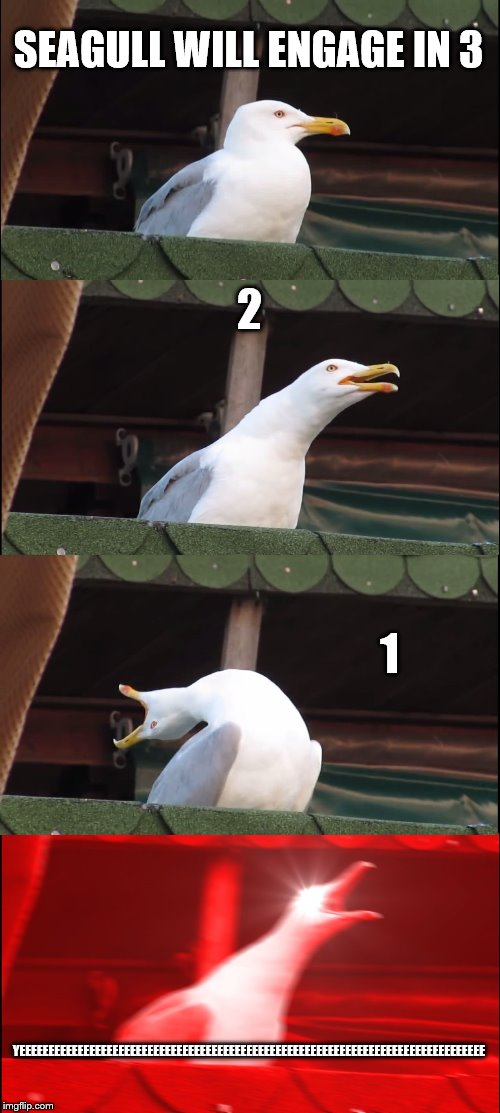 Inhaling Seagull | SEAGULL WILL ENGAGE IN 3; 2; 1; YEEEEEEEEEEEEEEEEEEEEEEEEEEEEEEEEEEEEEEEEEEEEEEEEEEEEEEEEEEEEEEEEEEEEEEEEEEEEEEEE | image tagged in memes,inhaling seagull | made w/ Imgflip meme maker