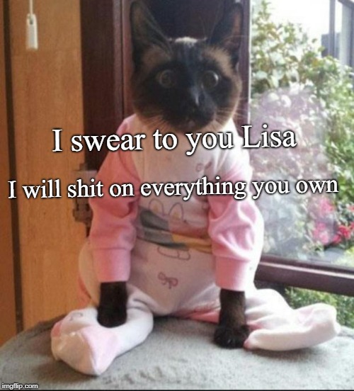 cats pajamas |  I swear to you Lisa; I will shit on everything you own | image tagged in cats pajamas | made w/ Imgflip meme maker