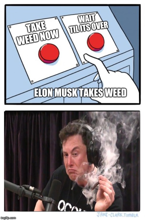elon musk takes weed | WAIT TIL ITS OVER; TAKE WEED NOW; ELON MUSK TAKES WEED | image tagged in memes,two buttons,elon musk,weed | made w/ Imgflip meme maker